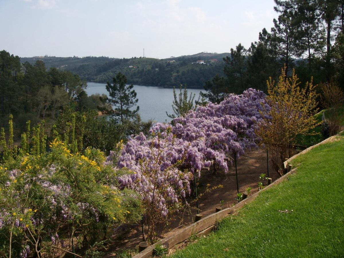 Quinta Do Troviscal Villa Castelo do Bode Eksteriør bilde