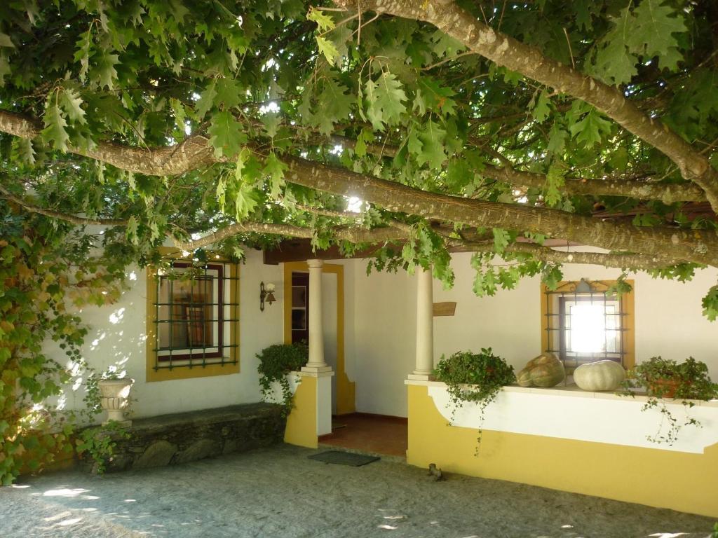 Quinta Do Troviscal Villa Castelo do Bode Eksteriør bilde