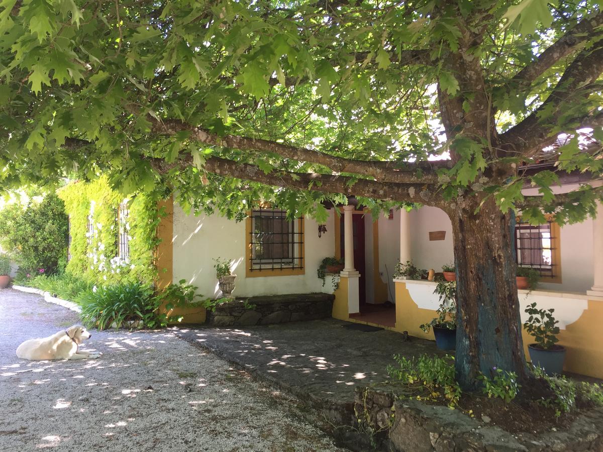 Quinta Do Troviscal Villa Castelo do Bode Eksteriør bilde