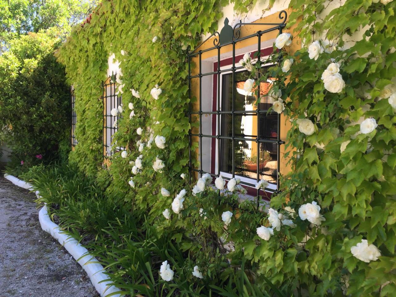 Quinta Do Troviscal Villa Castelo do Bode Eksteriør bilde